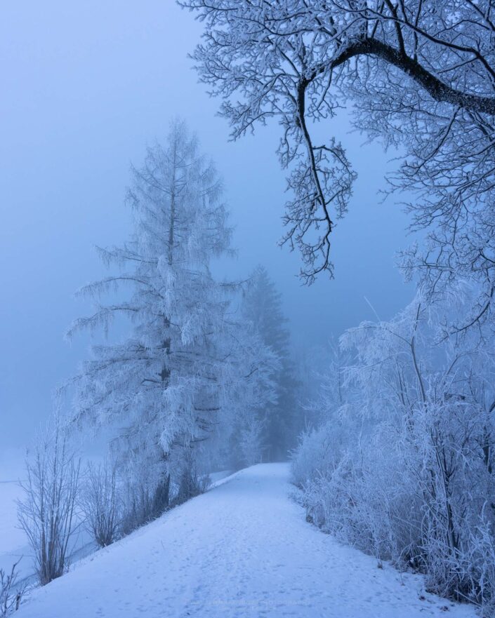Early foggy winter morning in Switzerland - winter scenery