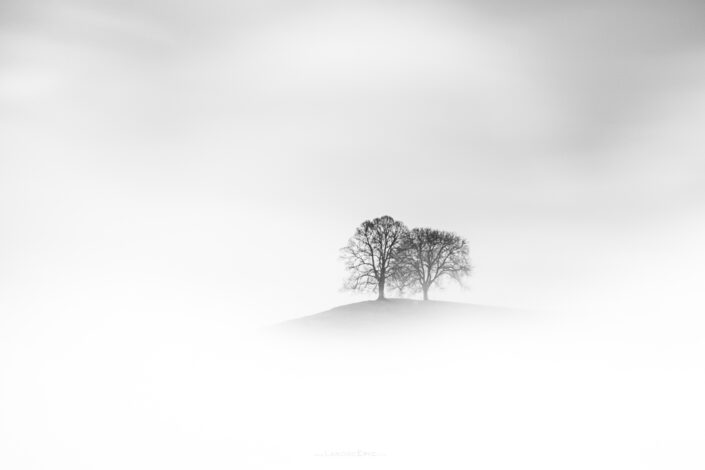Silence - A beautiful winter scene with two trees covered in morning fog. Buy a canvas, framed or acrylic fine art print.