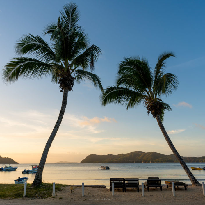 Photo of a golden hour at a beach in Seychelles with two palm trees and boats. Buy a canvas, framed or acrylic fine art print.