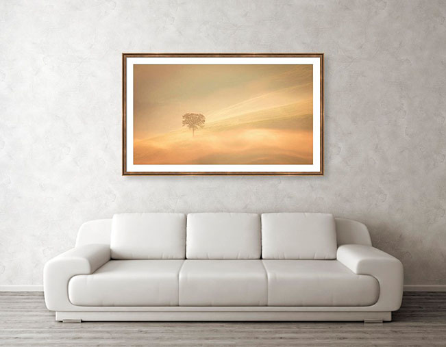 Framed print example of lone tree at sunrise in Tuscany, Italy. Photos of Tuscany.