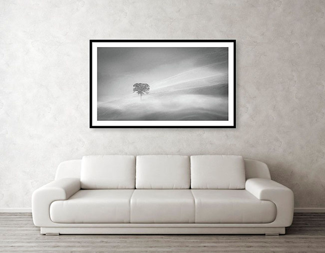 Framed black and white photo print example of lone tree at sunrise in Tuscany, Italy.