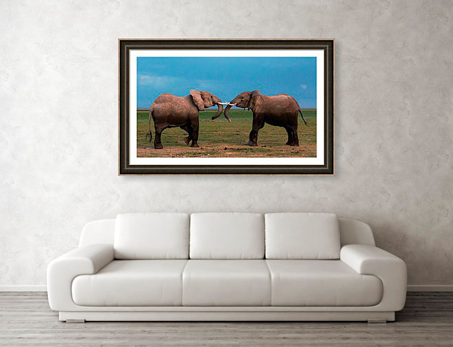 Framed print example of elephants fighting. Photos of elephants. African wildlife photography.