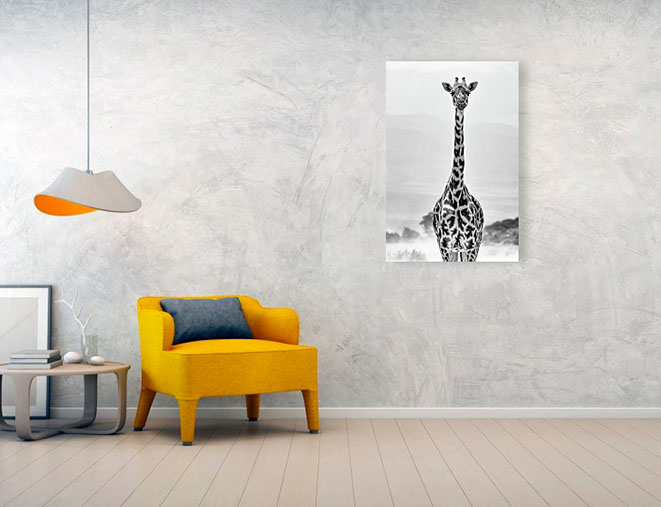 Acrylic print example of giraffe in Africa.