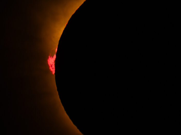 Huge prominences during the Total Solar Eclipse 2026 as seen from El Toro Mallorca