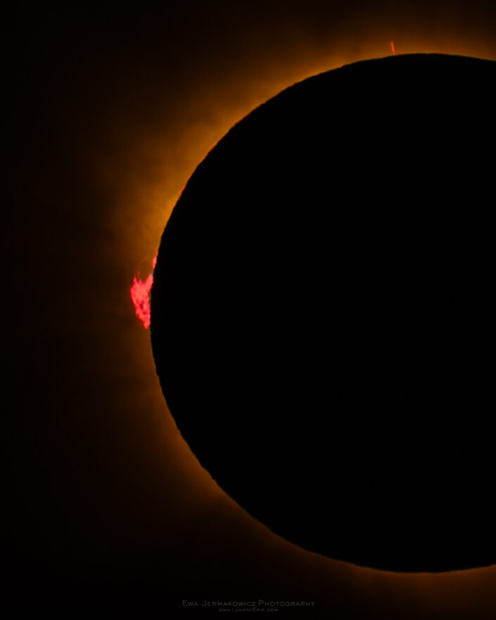 Huge prominences during the Total Solar Eclipse 2026 as seen from El Toro Mallorca